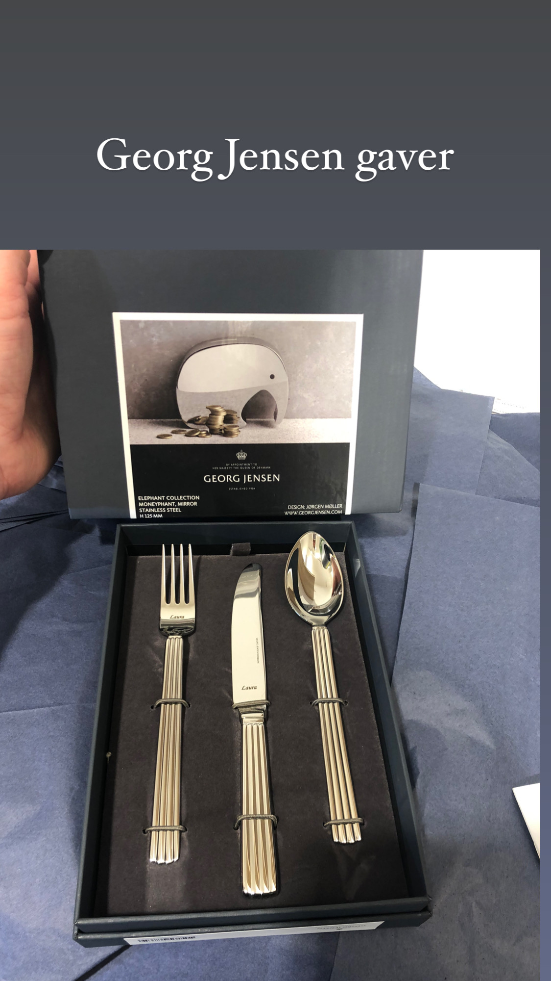 Georg Jensen BERNADOTTE Löffel Set - 4er Set Edelstahl In Geschenkbox